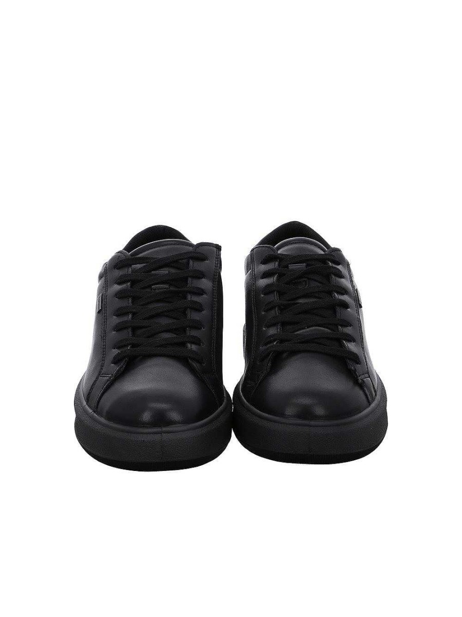 ara Schnurer | Fabio Sneakers Black